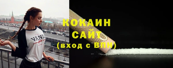 прущие грибы Магас