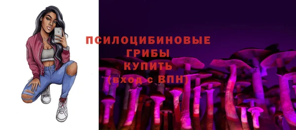 COCAINE Богородицк