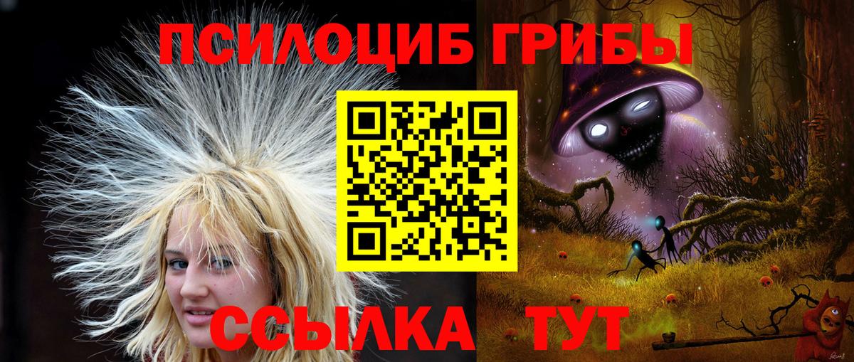 Галлюциногенные грибы Psilocybine cubensis Гуково