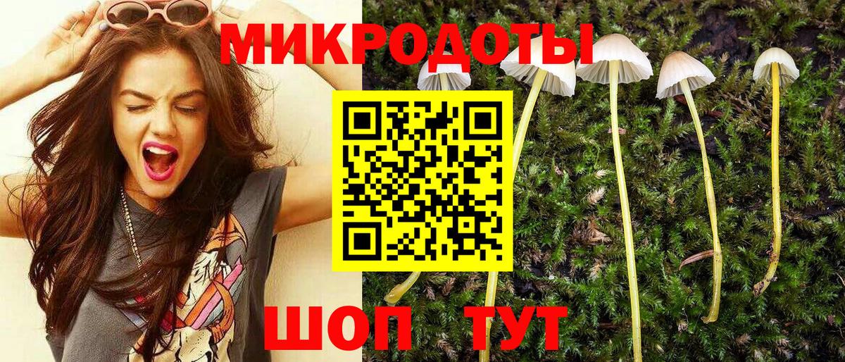 Галлюциногенные грибы прущие грибы  Вход с VPN  Гуково 