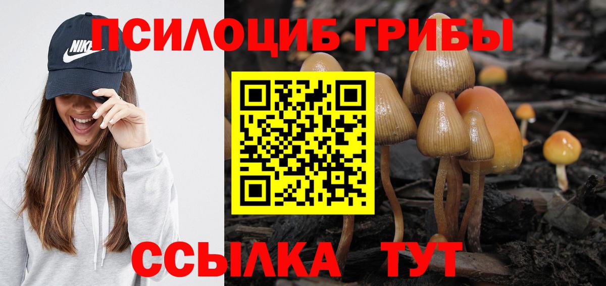 Галлюциногенные грибы прущие грибы  Гуково  Псилоцибиновые грибы мухоморы 